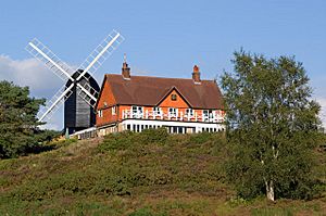 Reigate Heath Windmill and Reigate Heath Golf Club clubhouse - geograph.org.uk - 2081552