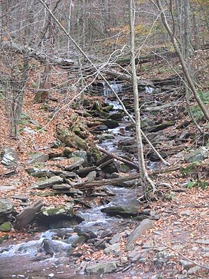 Ricketts Glen State Park Shingle Cabin Falls 1