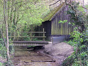 River Ivel footbridge, Radwell (5603875151).jpg