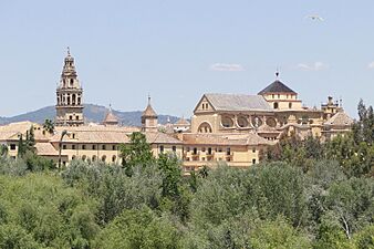 Riverfront Viewed from Puente Romano - Cordoba - Spain