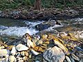 Rocksberg Creek