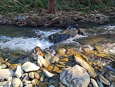 Rocksberg Creek.jpg