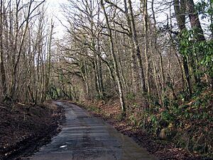 Rogers Rough Road - geograph.org.uk - 1157698