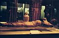 Rosicrucian san jose museum mummy