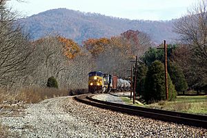 A CSX freight train passes through Pence Springs in 2007.
