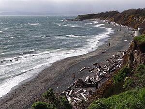 Scene at Clover Point Park - Victoria - BC - Canada - 04 (8564421474)