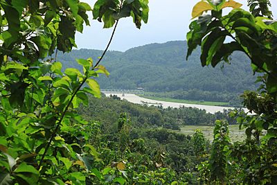 Serayu River, Central Java