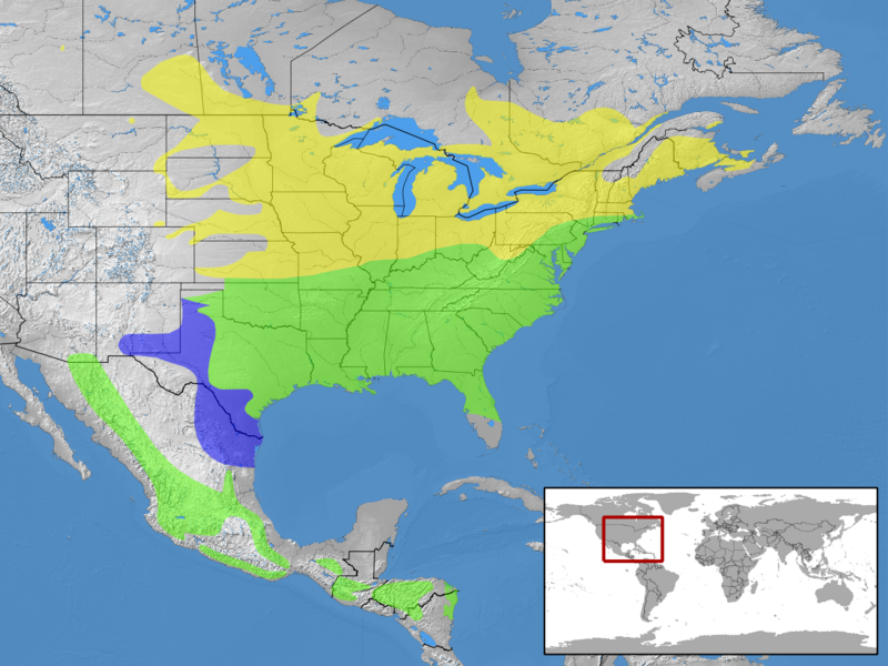 Sialia sialis distribution