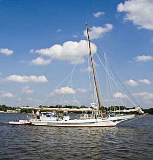 Skipjack Elsworth at Chestertown