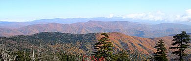 SmokyMountainFallLeaves