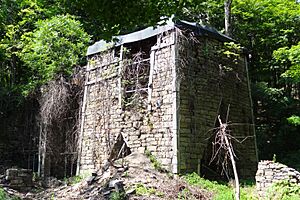 Southfield Furnace Ruin, NY - looking north