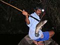 Spear fishing Peru