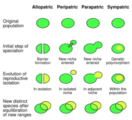 Speciation modes