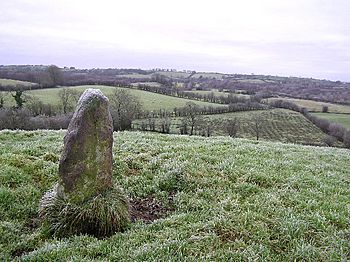 Standing stone at Beragh Hill - geograph.org.uk - 90673