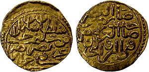 Sultani of Suleiman I