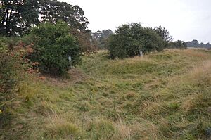 Sutton Heath and Bog 7