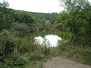 Swanbourne Lake - geograph.org.uk - 25101