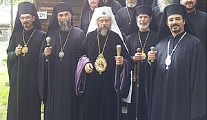Synodbishops
