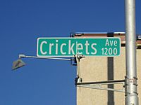 The Crickets Avenue, Lubbock, TX IMG 1641
