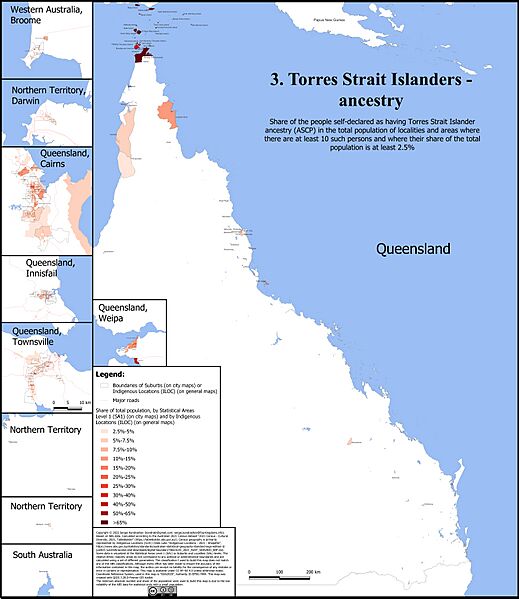 Torres Strait Islander ancestry