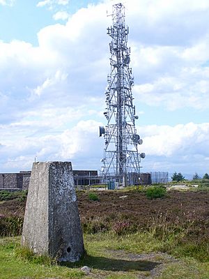 Tower on Brimmond Hill - geograph.org.uk - 1459639