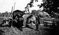 Two Farmboys on pony, 1937
