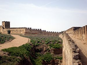 Vista desde el adarve dela Alcazaba de Badajoz