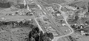 Waimiha 1955