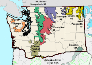 Washington National Forest Map