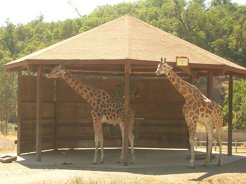 Wildlife Safari, Winston, Oregon