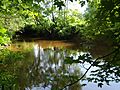 WoodCreekNY-June