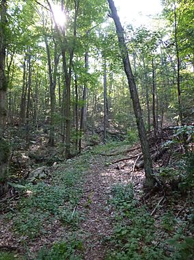 Wooster Mountain State Park.jpg