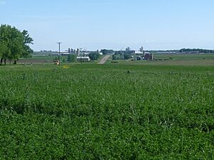 Much of York is rolling farmland like this. Facing north near County K.