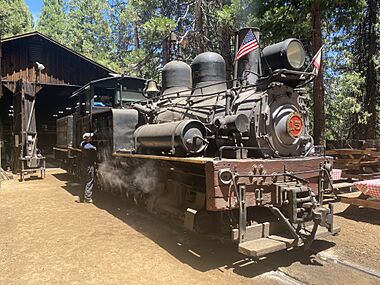 Yosemite Mountain Sugar Pine Railroad Number 15 Shay Locomotive