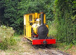 09I07I2016 Amberley Railway Gala A1