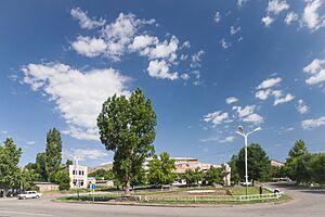 2014 Prowincja Wajoc Dzor, Jeghegnadzor, Wjazd do centrum miasta od strony drogi M2