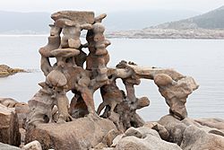 2016 Escultura de Manfred Gnädinger. Camelle. Galiza