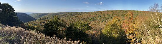 2021-10-20 16 41 51 Panoramic view northwest across the valley of the Dennison Fork of Fish Dam Run from Pennsylvania State Route 144 within Sproul State Forest in Noyes Township, Clinton County, Pennsylvania
