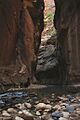 A263, Zion National Park, Utah, USA, the Narrows of Zion Canyon, 2008