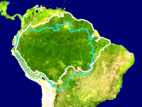 Amazon rainforest ecoregions as delineated by the WWF in white and the Amazon drainage basin in blue.