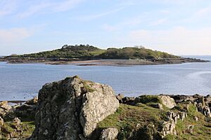 Ardwall Isle - geograph.org.uk - 6138742