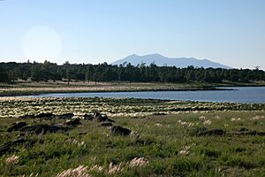 Ashurst Lake - southern end