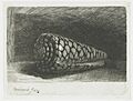 B159 Rembrandt