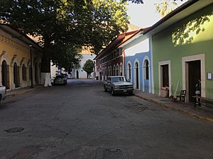 A street of the main plaza (2017)