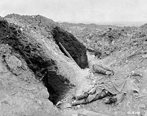 Battle of Mount Sorrel - German trenches demolished by artillery