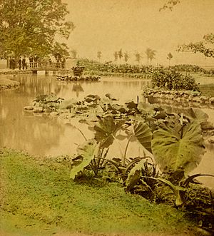 Belle Isle, river-environed park, Detroit, Michigan, from Robert N Dennis collection of stereoscopic views (extract)