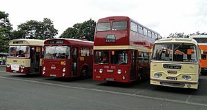 Bus lineup, 2012 Leyland Transport Festival.jpg