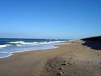 CanaveralNationalSeashore1