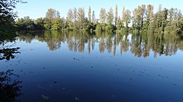 Carp Lake from Denham Lock Wood