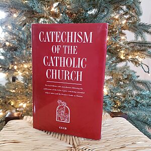 Catechism of the Catholic Church in front of a tree